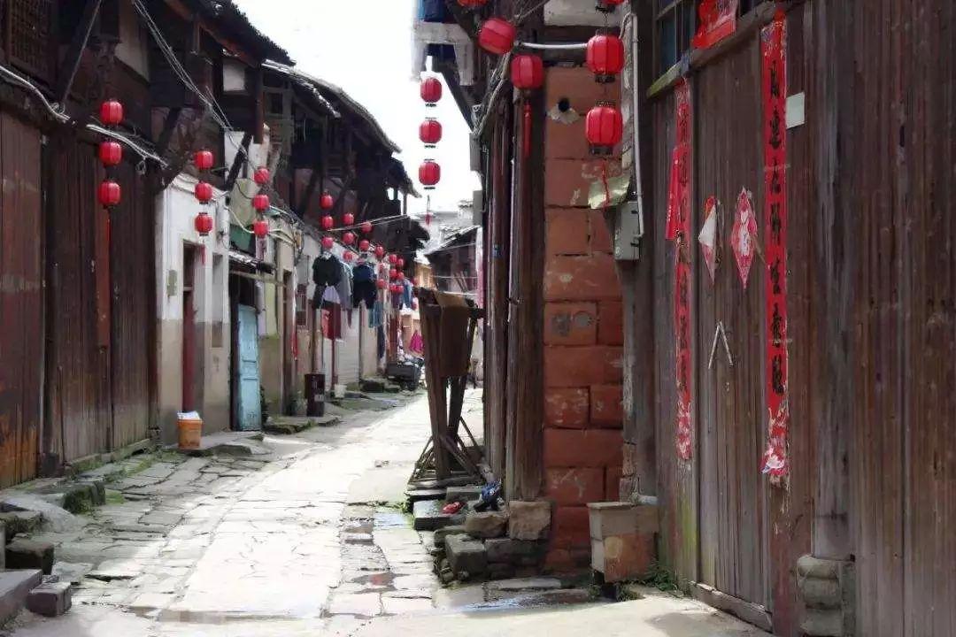 诱捕小浣熊
